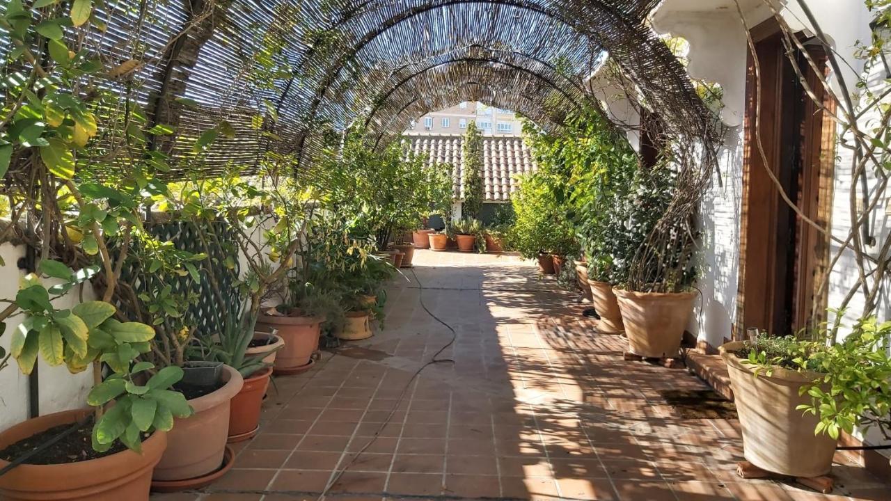 El Jardin De Wallada Кордоба Екстериор снимка